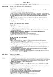 credit & collections manager resume