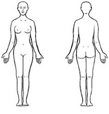 You can edit any of drawings via our online image editor before 678x600 printable human body diagram kids coloring. Female Human Body Outline Drawing At Paintingvalley Com Explore Collection Of Female Human Body Outline Drawing