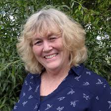 Our Financial Mentors