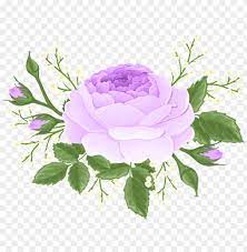 White petaled flowers with green leaves plant, shrub flower tree, bush, blue, image file formats, annual plant png. Download Purple Rose With White Flowers Png Images Background Toppng