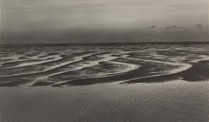 Die meisten von ihnen vergehen wieder. Ehrhardt Alfred Wattenmeer Nordsee 1935 Mutualart