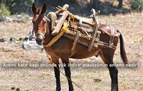 Acemi Katir Kapi Onunde Yuk Indirir Atasozunun Anlami Nedir Online Ilkokul Sanal Alemin Ilkokulu