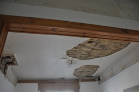 La Renovation D Un Plafond Les Chroniques De Goliath