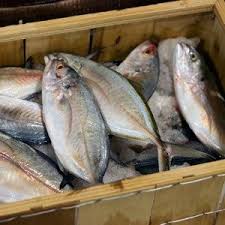 أفضل طريقة لشراء السمك Fish Food Marketing