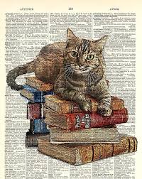 Cat On Book Stack Kitty Classics Print Has The Look Of An Ink Drawing With Color Art Print On Dictionary Page Cat Art Cat Drawing Cats