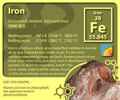 Periodictableofelements Periodictable Iron Teaching Chemistry Science Notes Science Chemistry