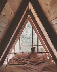 You Me And The Trees Troykingman Clarechamplain Thefallreport Cabinvibes Link In Bio To Buy By Freepeo Best Tiny House Modern Tiny House Architecture