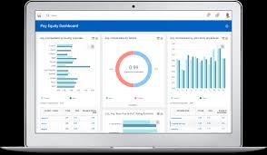 Hcm Reporting And Analytics Workday