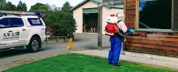 Using harmful chemicals, you may kill a great number of rodents at once. Swat Pest Control Pest Control Services Hamilton Waikato Wide
