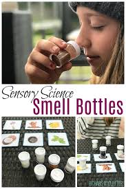 Easy art activity ideas for kids. Sensory Smell Bottles