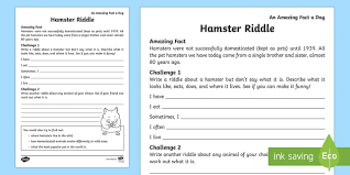 This means that they won't be awake during the day or the night, but rather during the morning and evening. Hamster Riddle Worksheet Worksheet Teacher Made