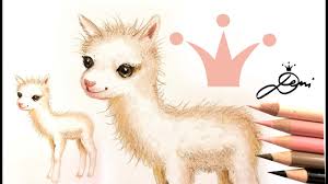 Alpaka Baby Zeichnen Lernen Mit Buntstiften How To Draw An Alpaca With Coloured Pencils Youtube