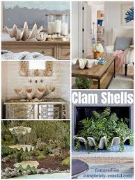 I wanted to share with you a. Giant Clam Shell Decorating Ideas Coastal Decor Ideas Interior Design Diy Shopping