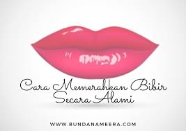 Bibir yang sehat adalah bibir yang terlihat segar dan terjaga kondisi kelembabannya. Cara Memerahkan Bibir Secara Alami Bunda Nameera S Blog Lifestyle Blogger