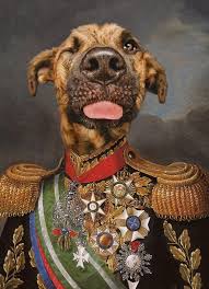 Epingle Par Natalie Mandy Sur Custom Cats And Dogs Portraits Portraits De Chiens Animaux En Costumes Portraits D Animaux