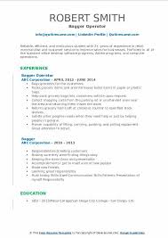 What is a resume job description? Bagger Resume Samples Qwikresume