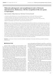 Image result for Kohautia caespitosa