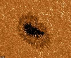 We did not find results for: Europe S Largest Telescope Takes Photos Of The Sun That Show Intricate Details Of Sunspots And Plasma