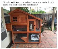 Pin By Dominique Poirier On Milo Jupiter Outdoor Cat House Cat Fence Cat Patio