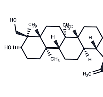 23-Hydroxybetulinic acid