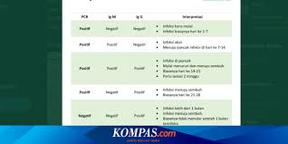 Dari yang meyakini bahwa demikianlah artikel dari duniapendidikan.co.id tentang apa itu intervensi : Memahami Pcr Dan Rapid Test Pada Hasil Lab Covid 19 Seperti Apa Halaman All Kompas Com