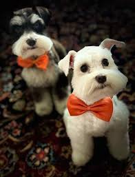 Today Best Photograph 🥰 📸