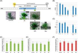 The 166 programmable detector module (pdm) is a variable wavelength uv/vis hplc detector designed as a part of the hplc system software. Integrated Physiological Proteomic And Metabolomic Analysis Of Ultra Violet Uv Stress Responses And Adaptation Mechanisms In Pinus Radiata Molecular Cellular Proteomics