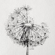 Pin On Dandelions
