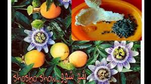 These passion fruit puree are available at highly attractive prices. Ù…ÙˆØ§ØµÙØ§Øª Ùˆ Ø³Ø¹Ø± ÙØ§ÙƒÙ‡Ø© Ø§Ù„Ø¹Ø§Ø·ÙØ© ÙÙŠ Ø¯Ø¨ÙŠ Ø§Ù„Ø¥Ù…Ø§Ø±Ø§Øª Ø§Ù„Ø¹Ø±Ø¨ÙŠØ© Ø§Ù„Ù…ØªØ­Ø¯Ø© Ù‚Ø§Ø±Ù† Ø§Ù„Ø£Ø³Ø¹Ø§Ø±