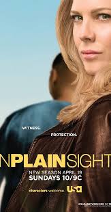 In Plain Sight (TV Series 2008–2012)