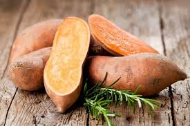 Image result for Ipomoea batatas pots