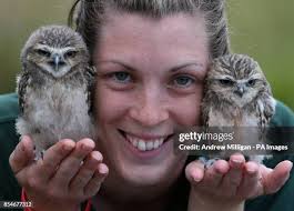 254 Andrew Burrows Stock Photos, High-Res Pictures, and Images