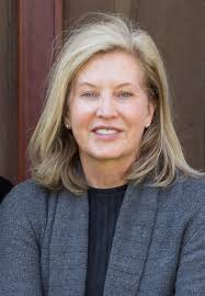 MEET THE ADVISORS — envision resilience challenge