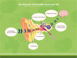 Was Hilft Gegen Tinnitus Ursachen Behandlung