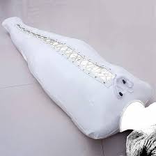 Experience Intense Sleep in a BDSM Sleeping Bag