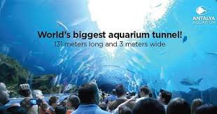 Antalya Aquarium Giris Ucretinde 50 Indirim Kampanyasi Antalya Ogretmenler