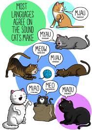 Cats What Noises Do Animals Make In Other Languages Here Is An Important Guide Animal Sounds Cat Noises Cat Language