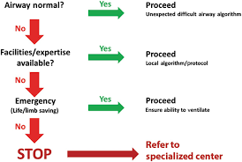 Universal Algorithms And Approaches To Airway Management