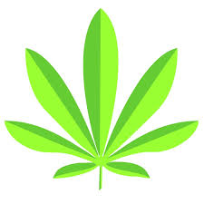 Santa Maria, CA Weed Dispensaries Near Me