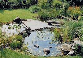 definition construction et amenagement d une mare jardin d eau jardin permaculture jardin naturel