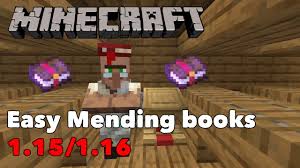 How To Get A Mending Villager Mending Books For 1 Emerald Youtube