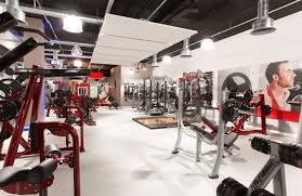 Here at world gym you're not just a member you're family! A Fitness Lover S Guide To Cologne