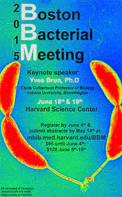 BBM Archives - Harvard University - Department of Molecular & Cellular  Biology