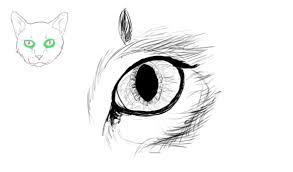 Come Disegnare Gli Animali I Gatti E La Loro Anatomia Design E Illustrazione Sviluppo Di Siti Web Giochi Per Computer E Applicazioni Mobili