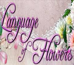 Asking for forgiveness and admitting our hurts may never be as easy or as natural as we'd like it to be. Floriography T To Z Flowers Sharon Lathan Novelist