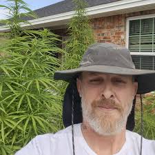 Friends of Tommy Gunn And The Untouchables