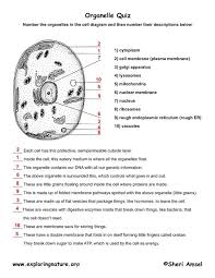 Lab Exam 1 Organelle Parts Cells Worksheet Biology Lessons Science Cells