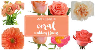 Choosing the color combos for your wedding day is a major step in the planning process. The Essential Coral Wedding Flowers Guide Types Of Peach Flowers Names Seasons Pics