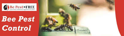 Maybe you would like to learn more about one of these? Bee Control Service 1800 339 712 Professional Bee Control