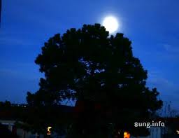 Schloß webstein (onlineserie, 2 folgen) 2017: Wetterprognose 1 Vollmond Im Januar 2018 Kulturmagazin 8ung Info